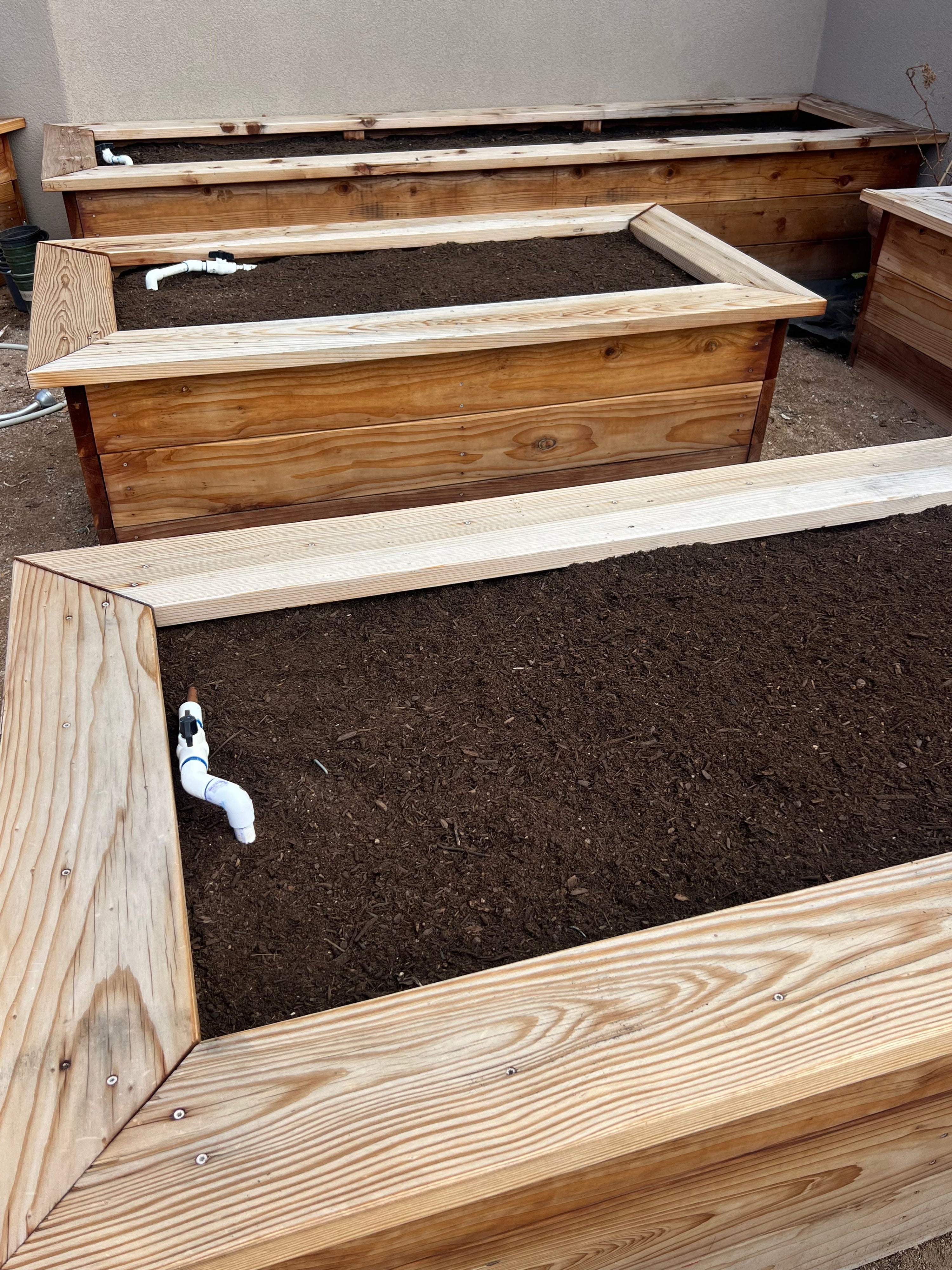 Fall Gardening To Do List