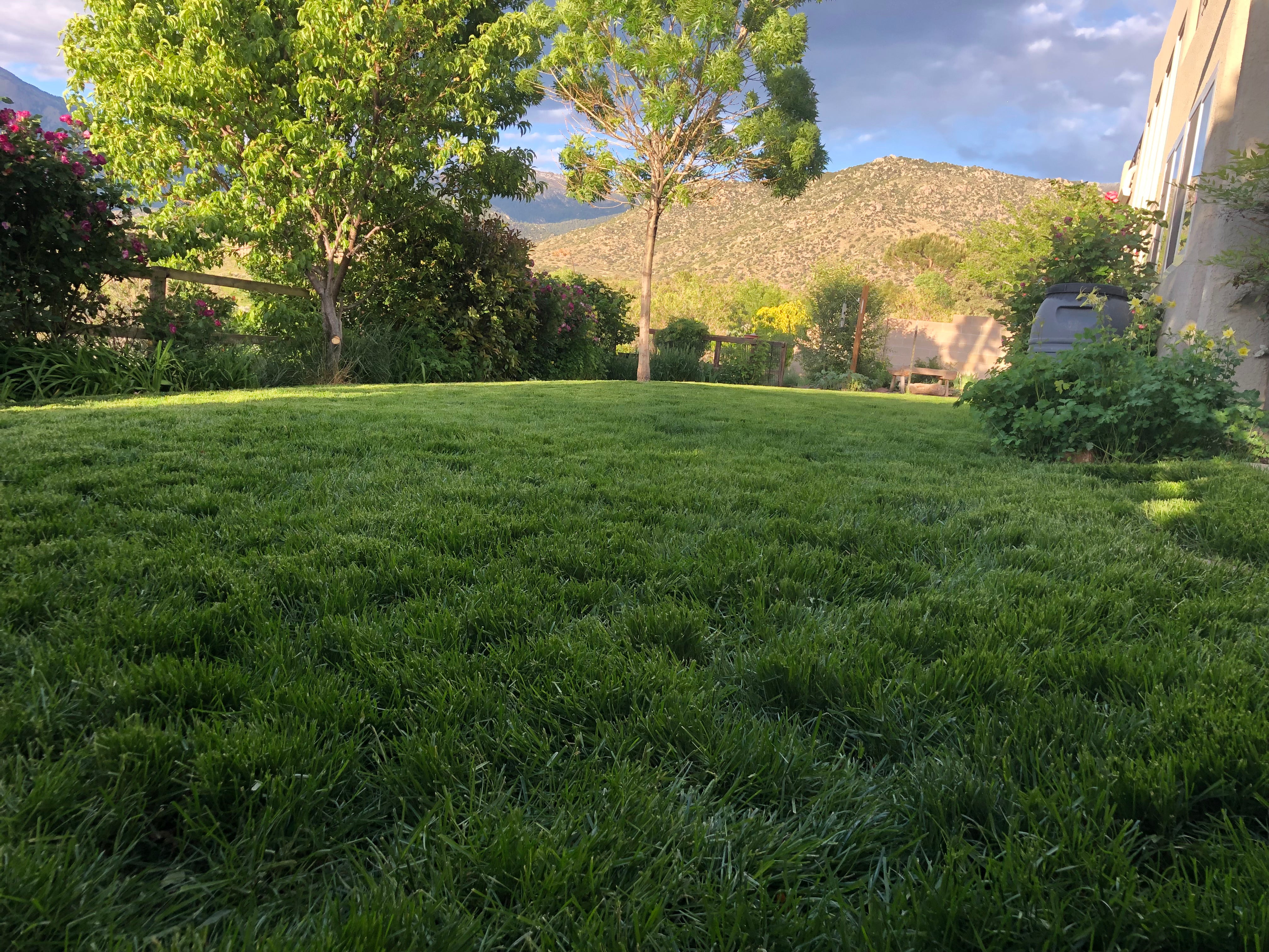 Topdressing Your Lawn with Compost or Topsoil Soilutions Topdressing Your Lawn with Compost or Topsoil Soilutions