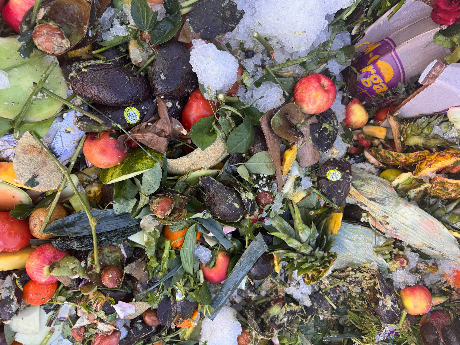 Soilutions' Grocery Recycling Program: Our Commitment to Sustainability and Quality