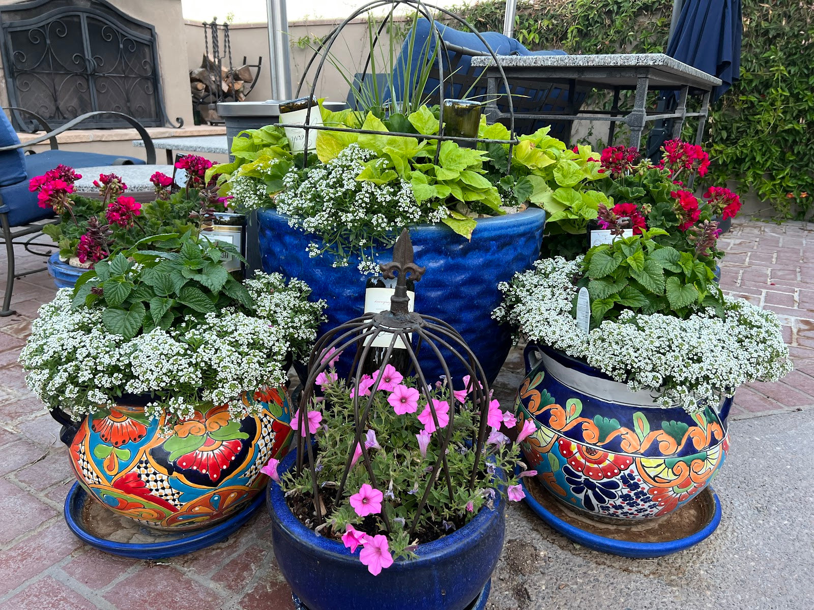 Outdoor Container Gardening