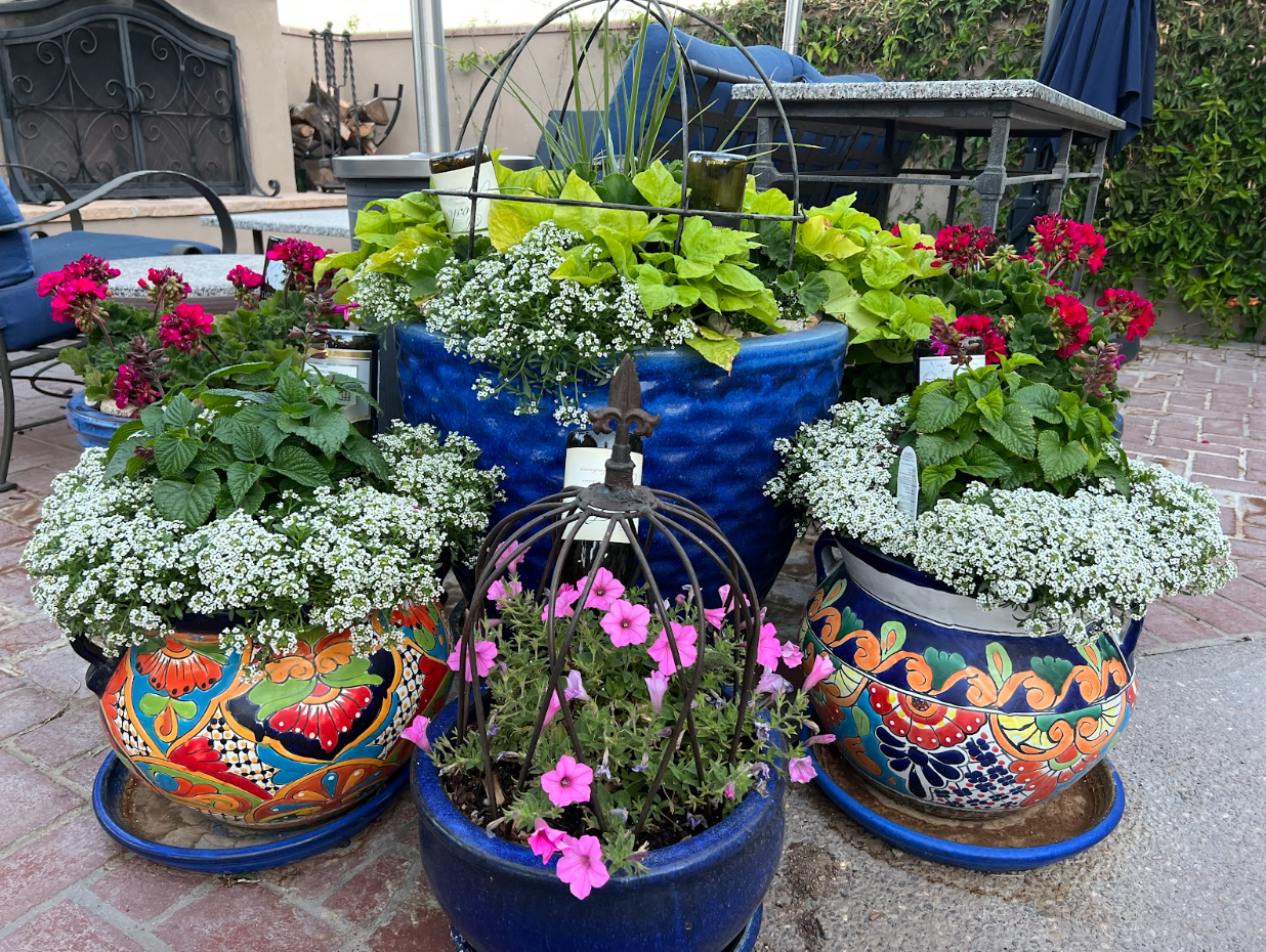 High Desert Patio Container Gardening