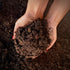 ENRICHED TOPSOIL - DELIVERED