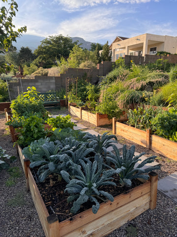 PREMIUM GARDEN SOIL - DELIVERED