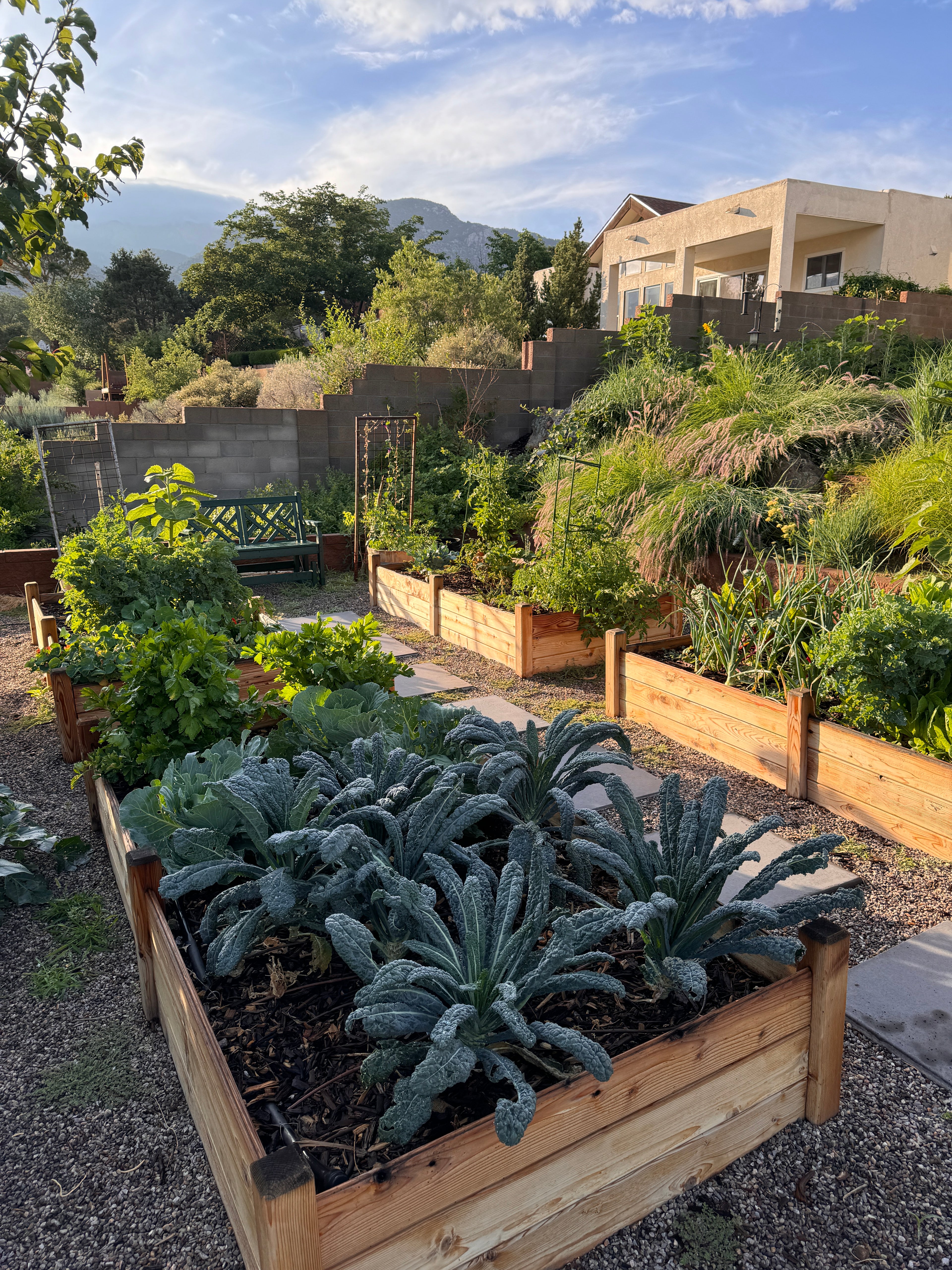 PREMIUM GARDEN SOIL - DELIVERED