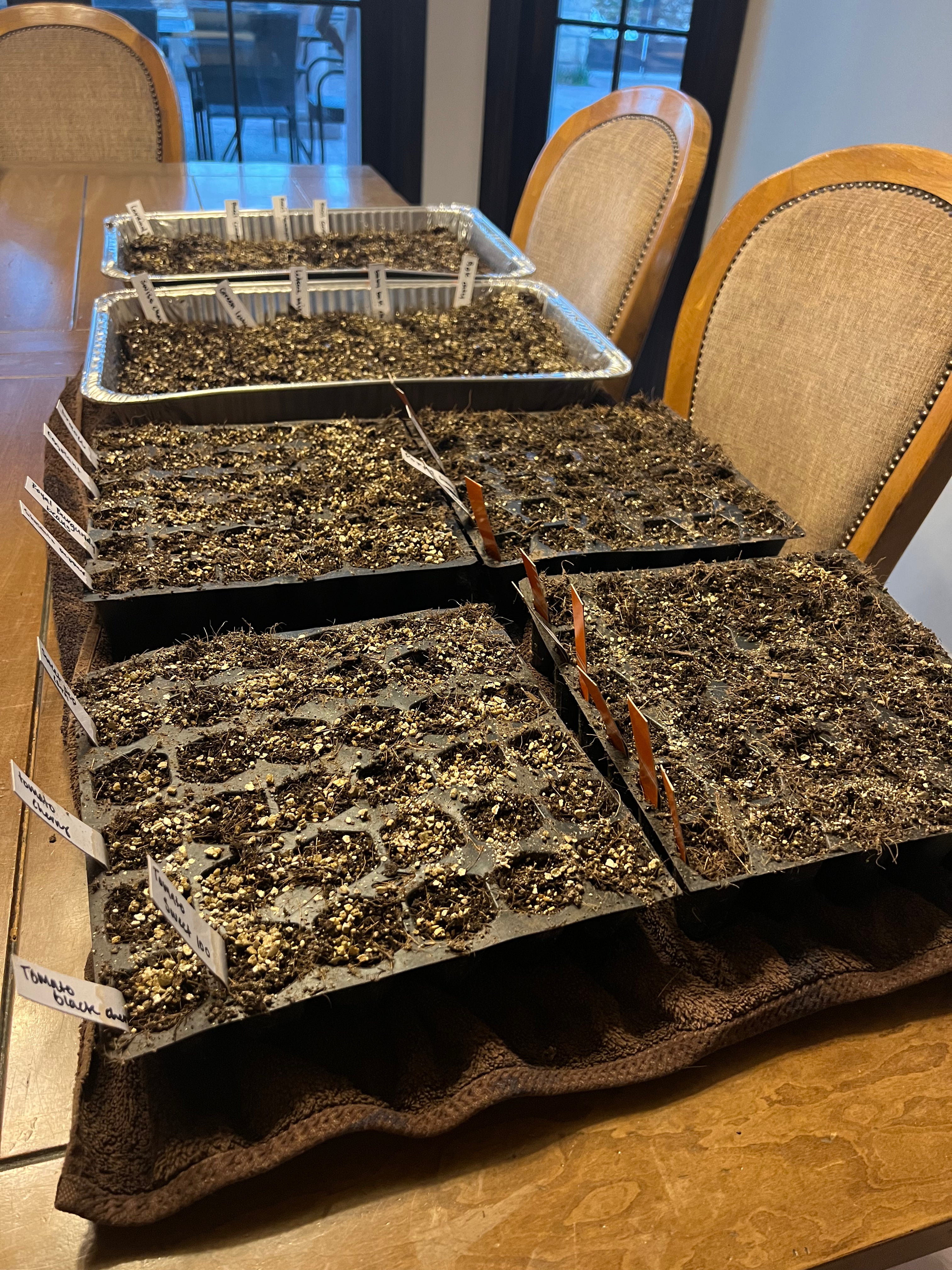 SOILUTIONS POTTING MIX - DELIVERED