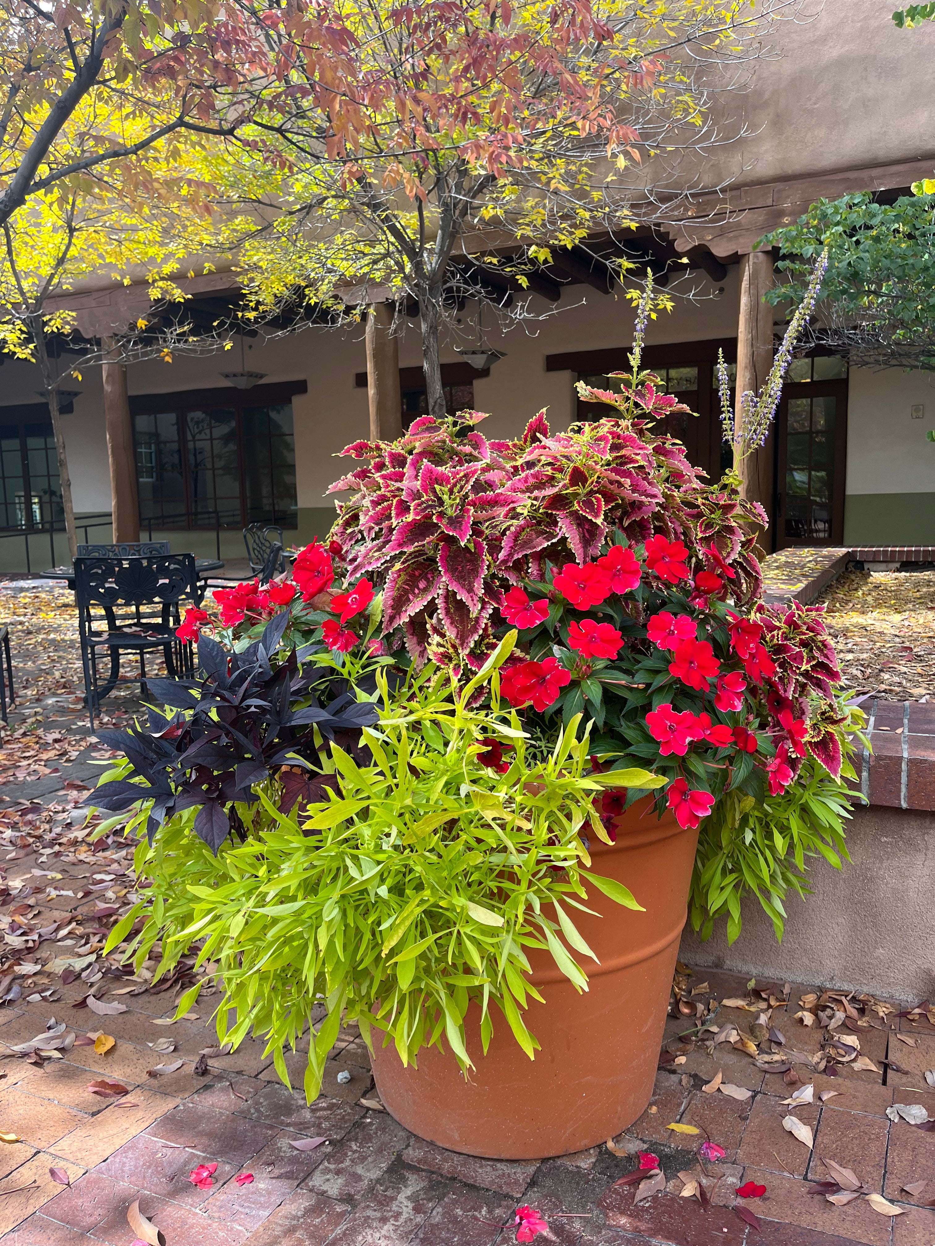 SOILUTIONS POTTING MIX - DELIVERED