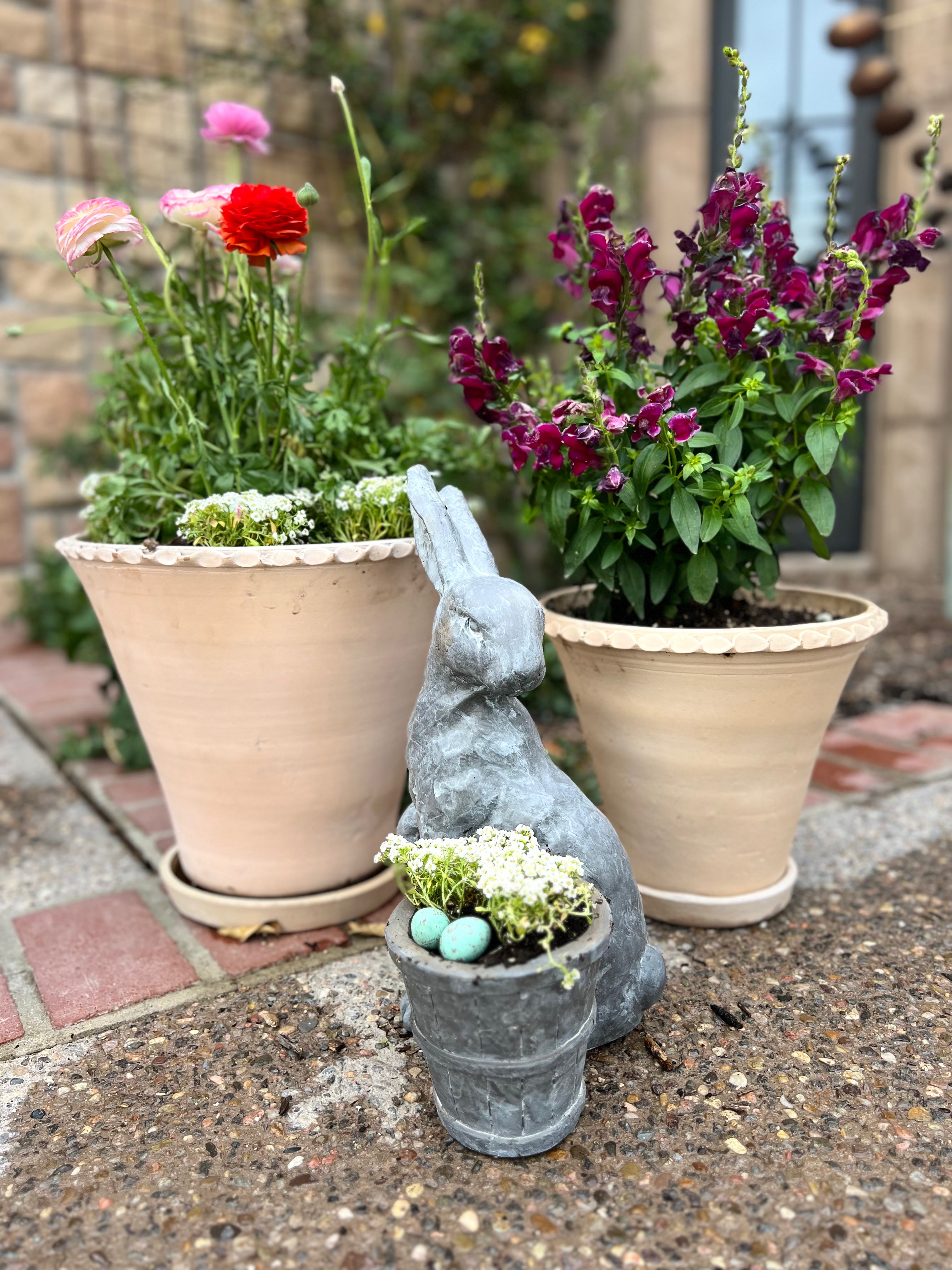 SOILUTIONS POTTING MIX - DELIVERED