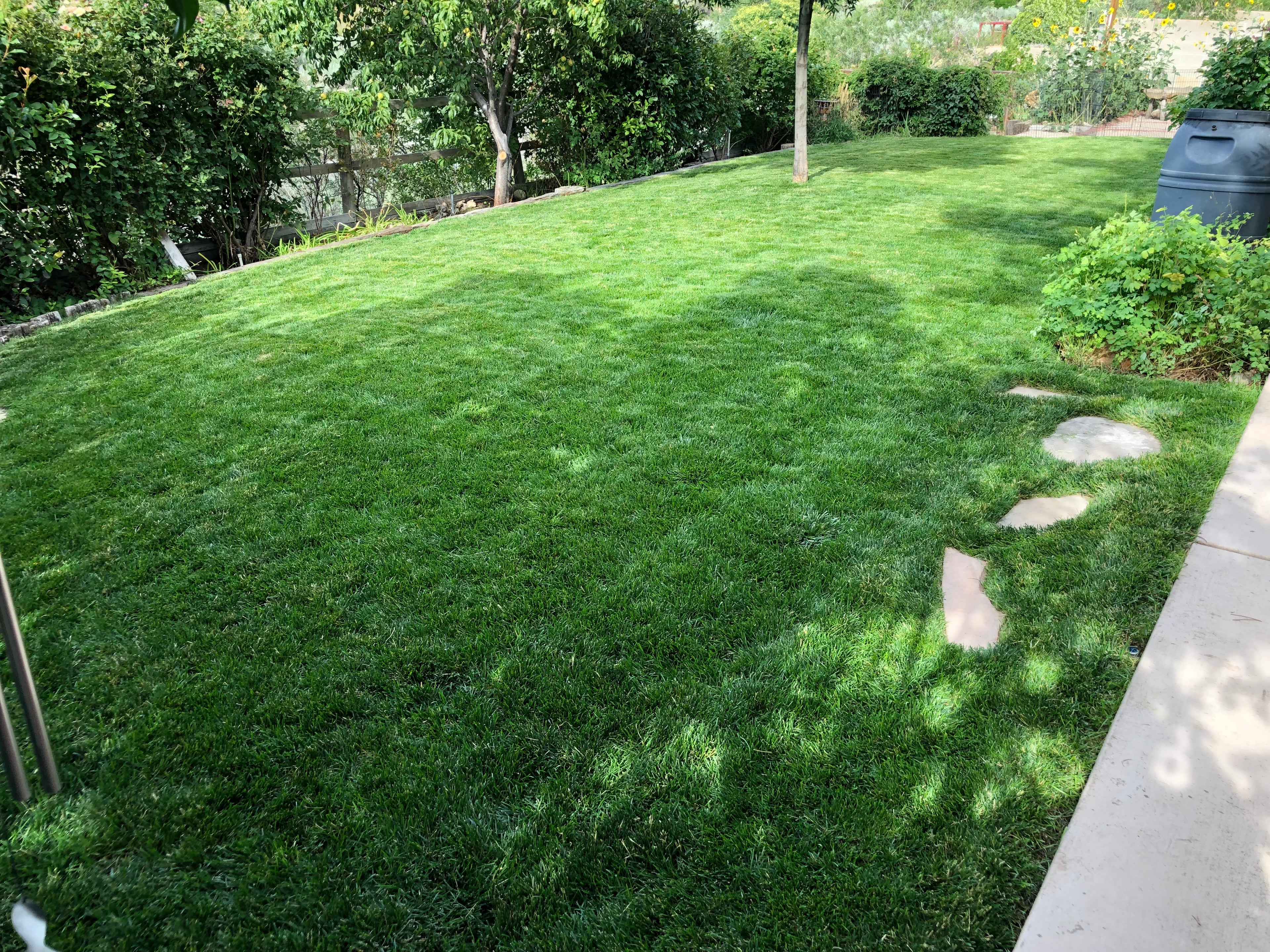 ENRICHED TOPSOIL - DELIVERED