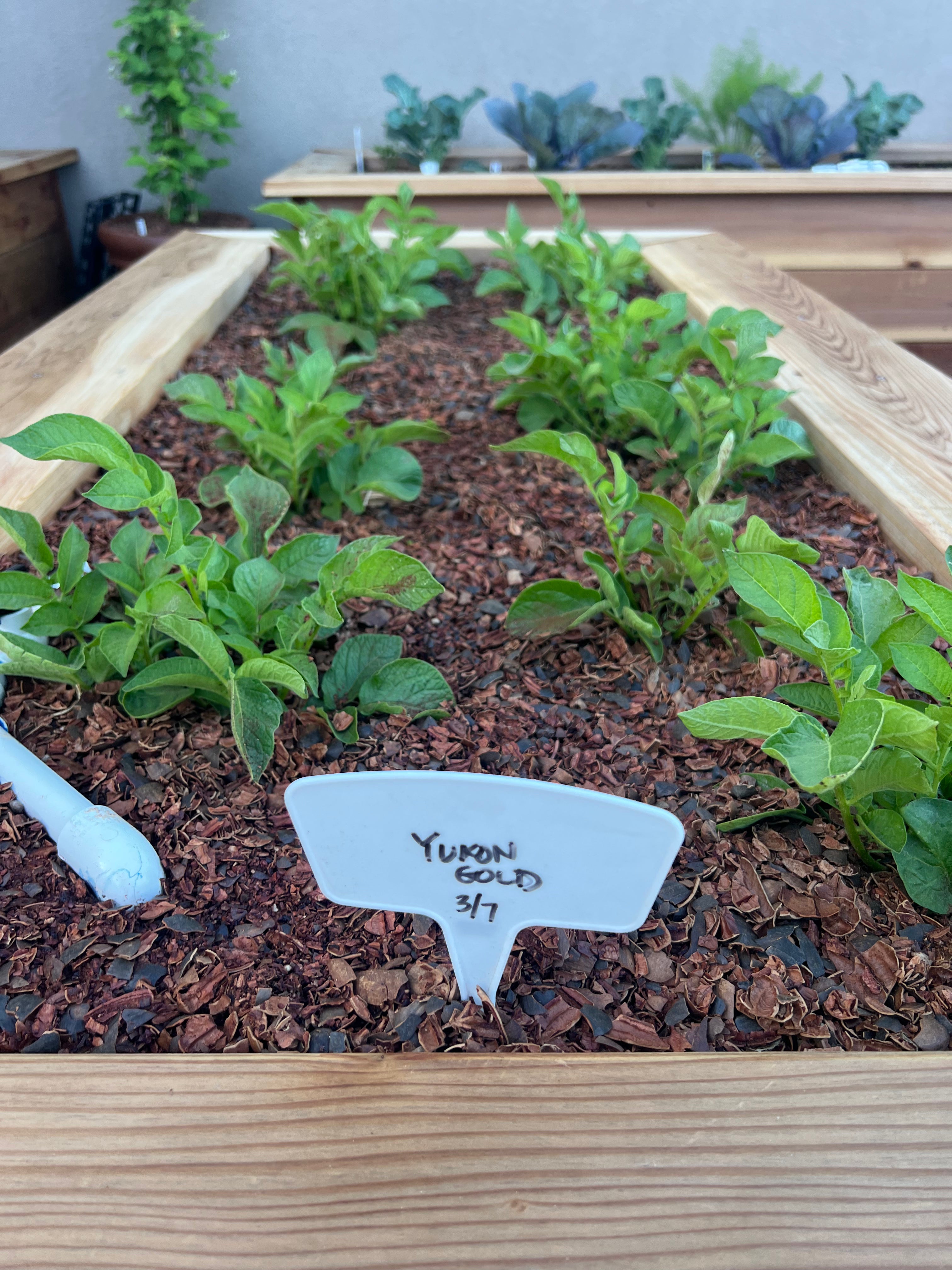 PECAN SHELL MULCH - PICK-UP