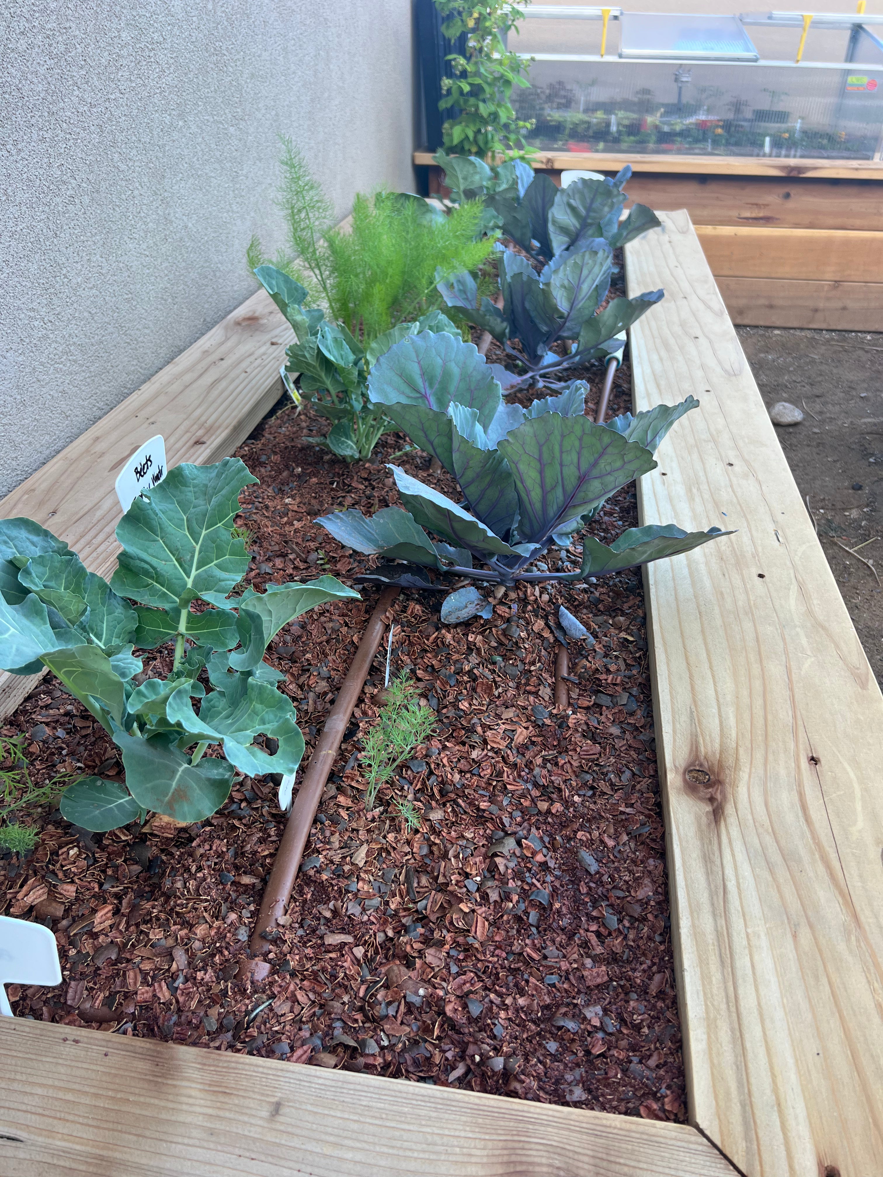 PECAN SHELL MULCH - PICK-UP