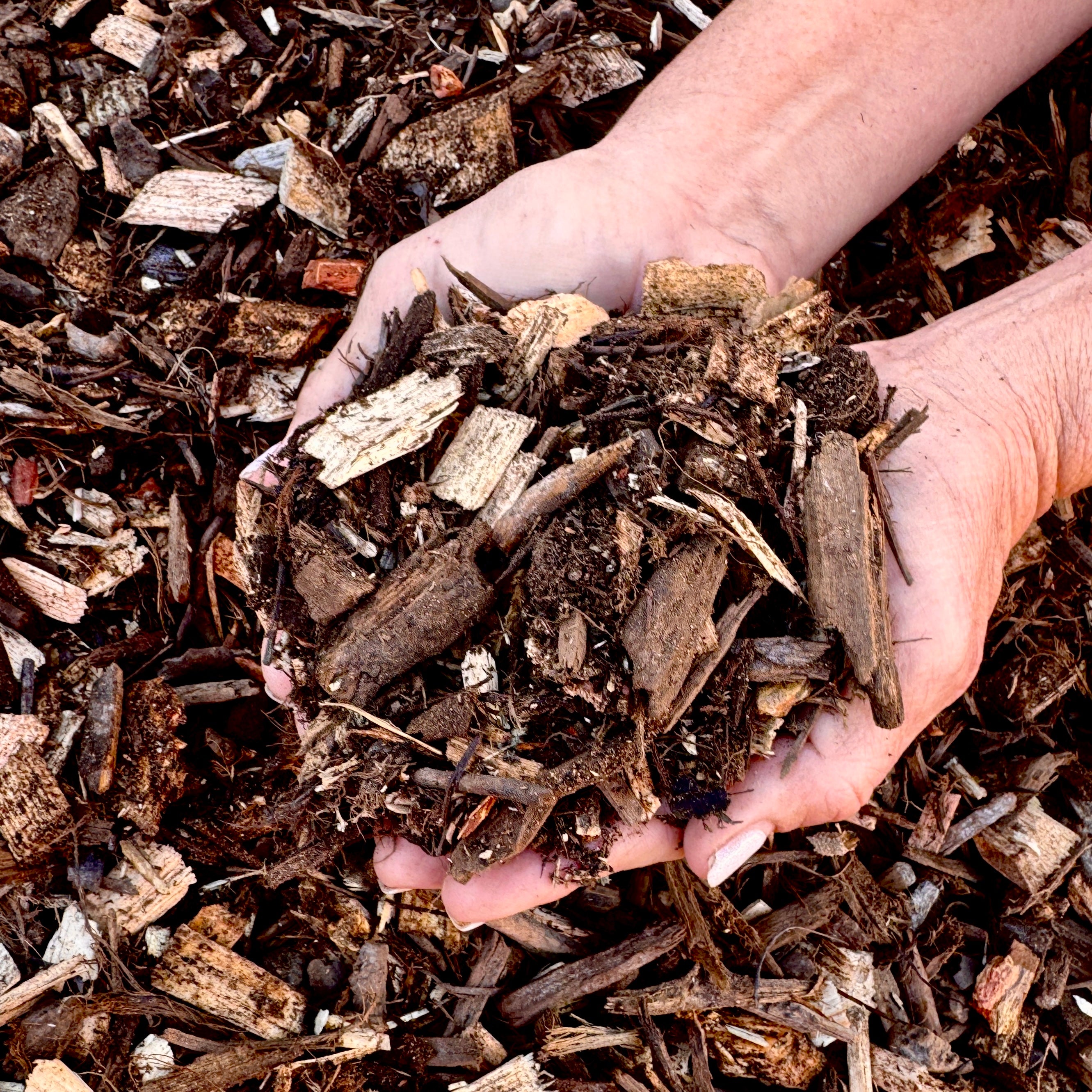 FOREST FLOOR MULCH - DELIVERED