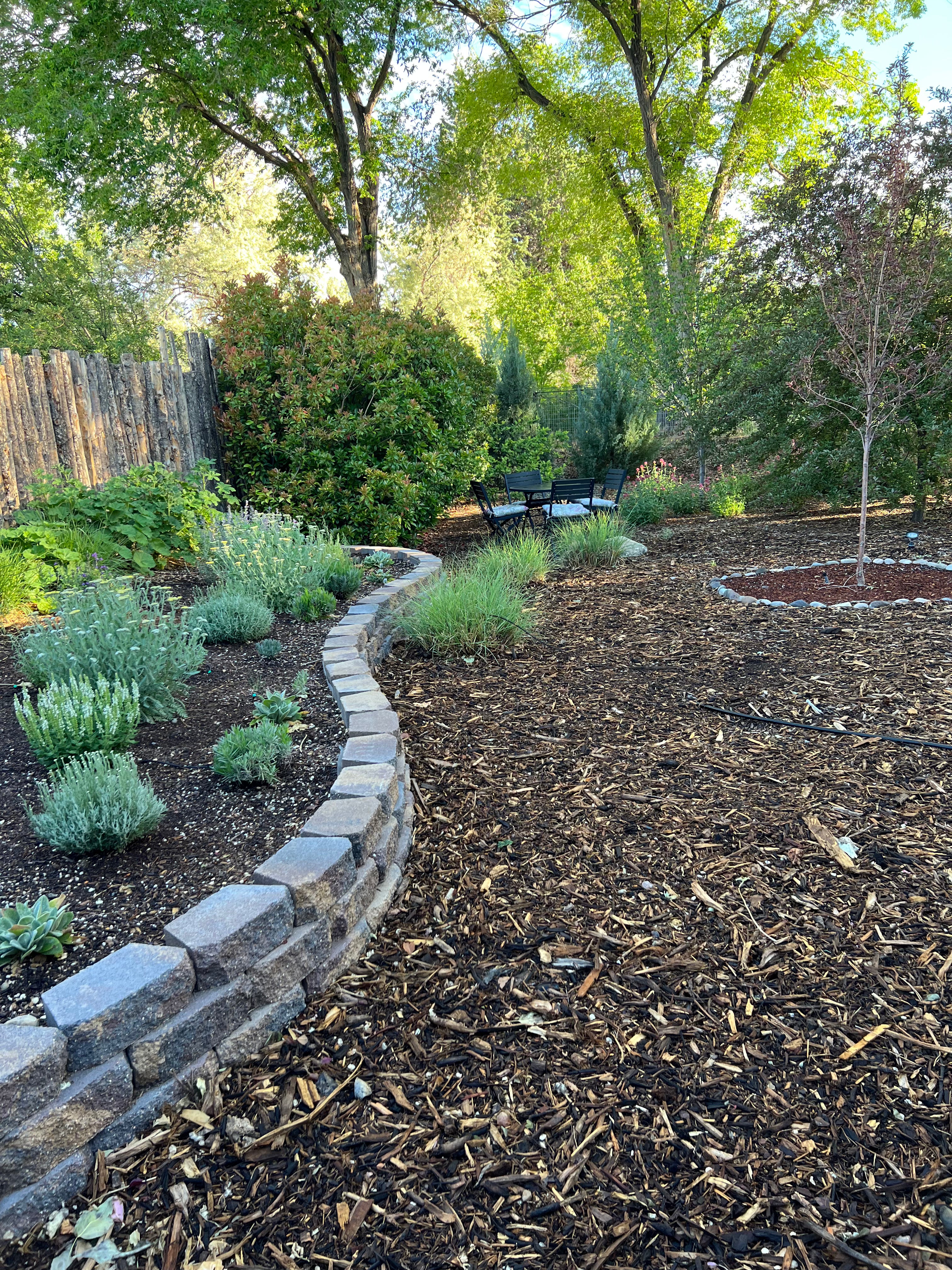 Forest Floor Mulch in Garden