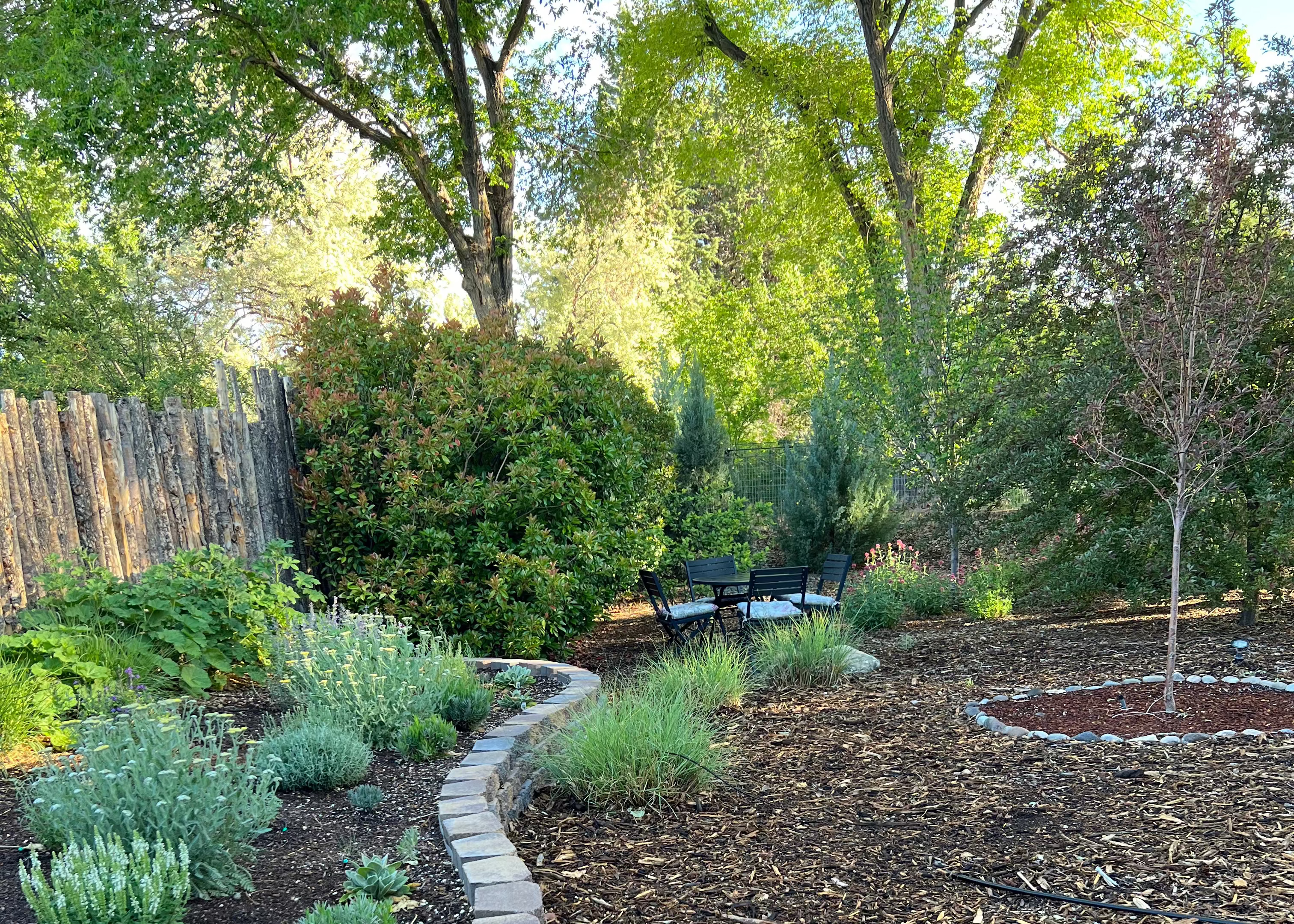 Forest Floor Mulch in Garden