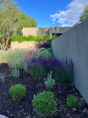 Beautiful garden with forest floor mulch