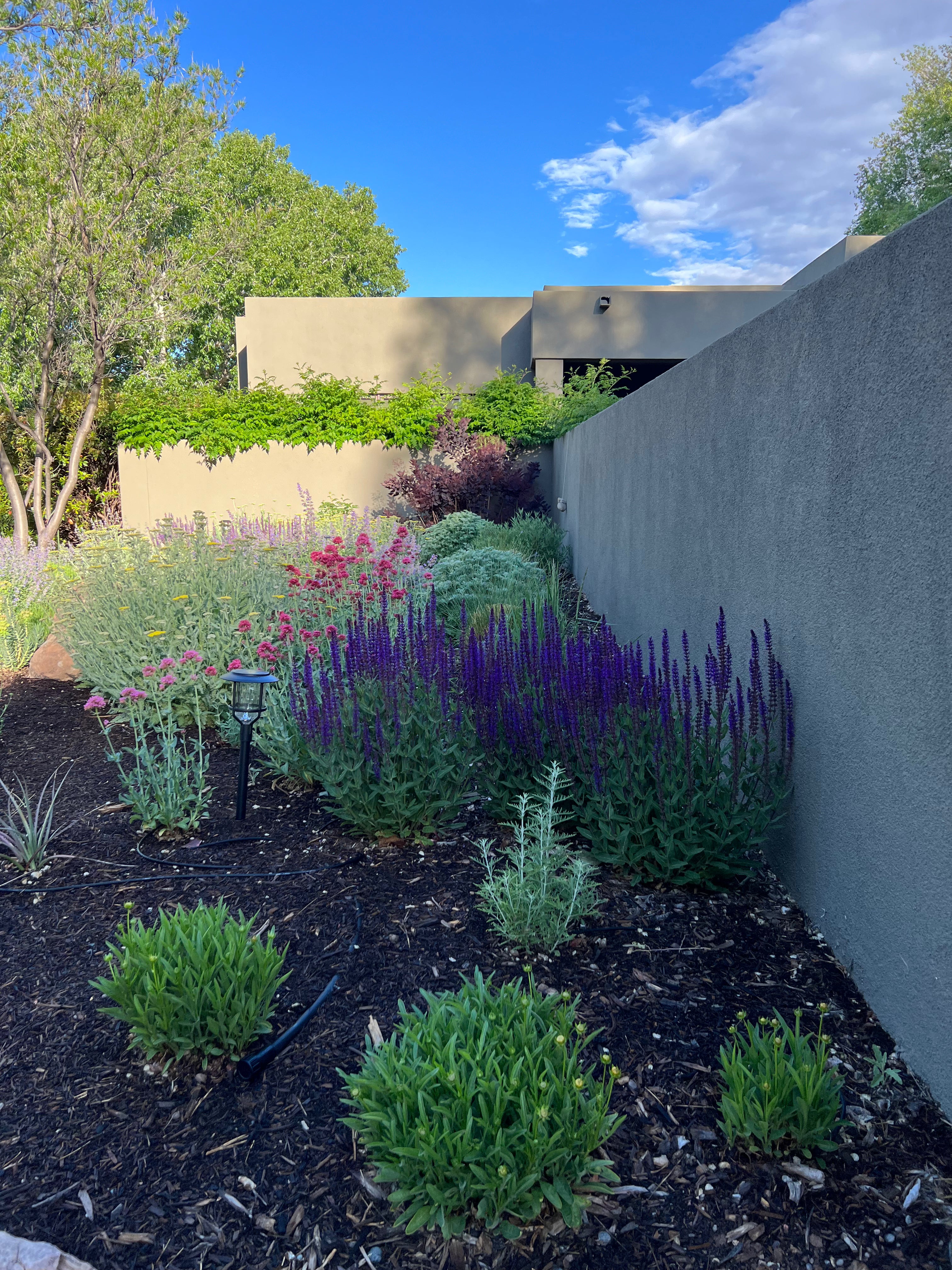 Beautiful garden with forest floor mulch