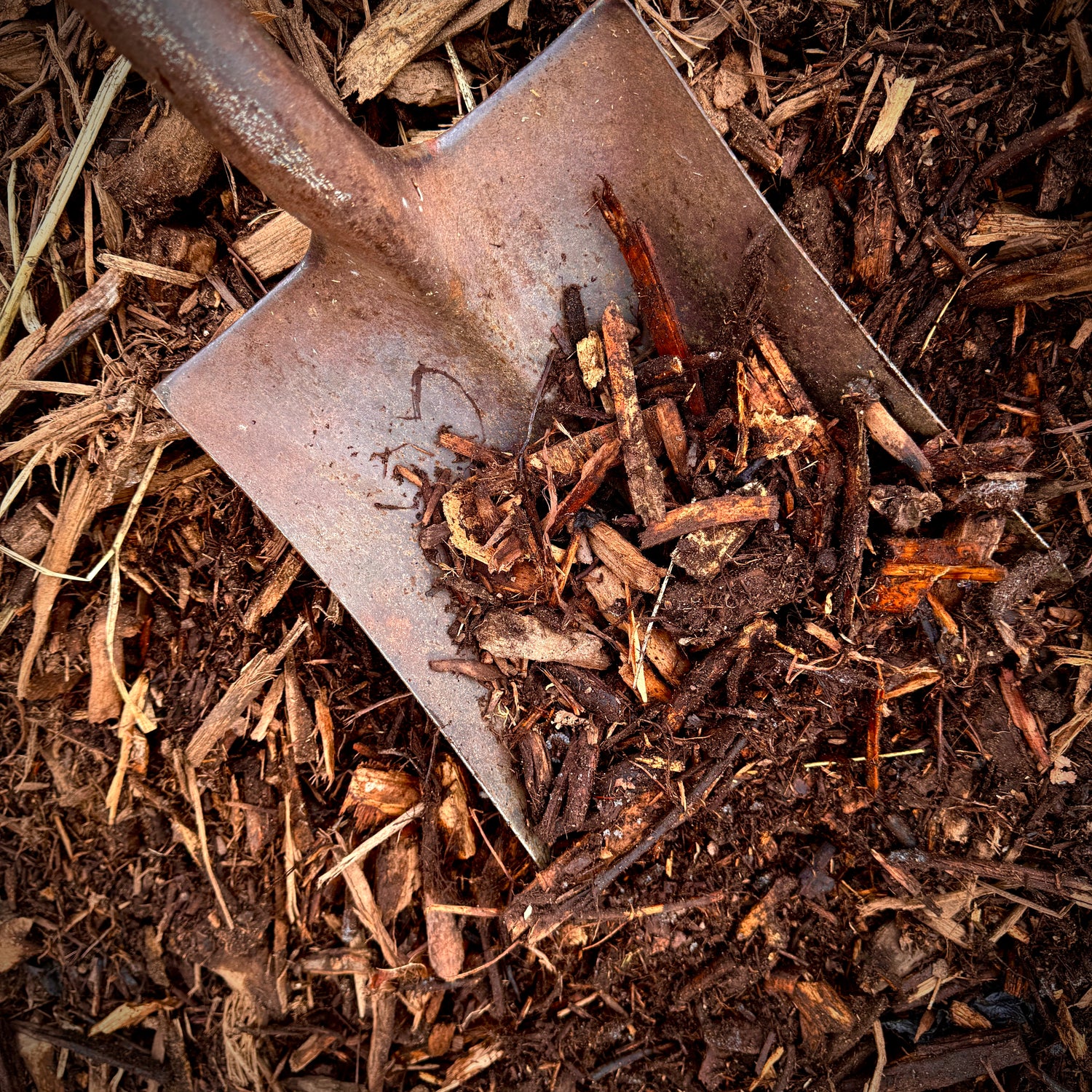 NATIVE MULCH - PICK-UP