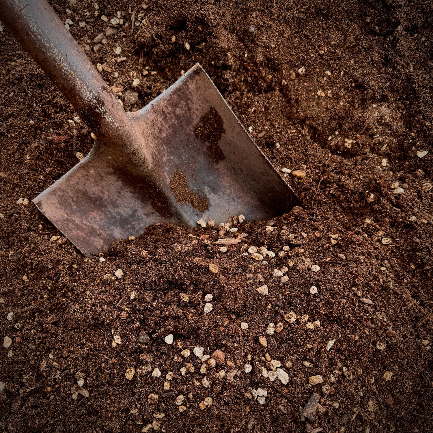 PREMIUM GARDEN SOIL - DELIVERED