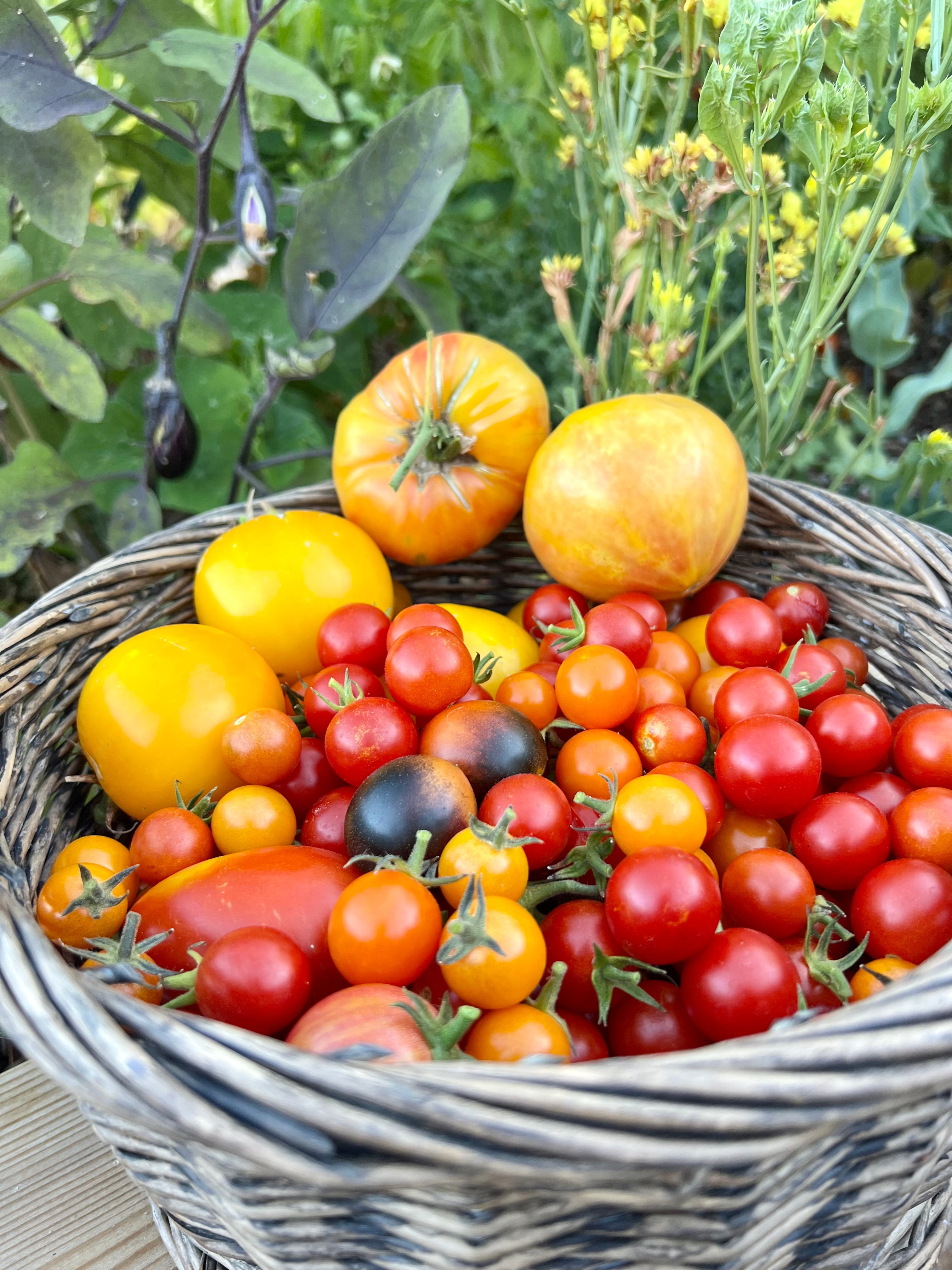 PREMIUM GARDEN SOIL - PICK-UP SANTA FE