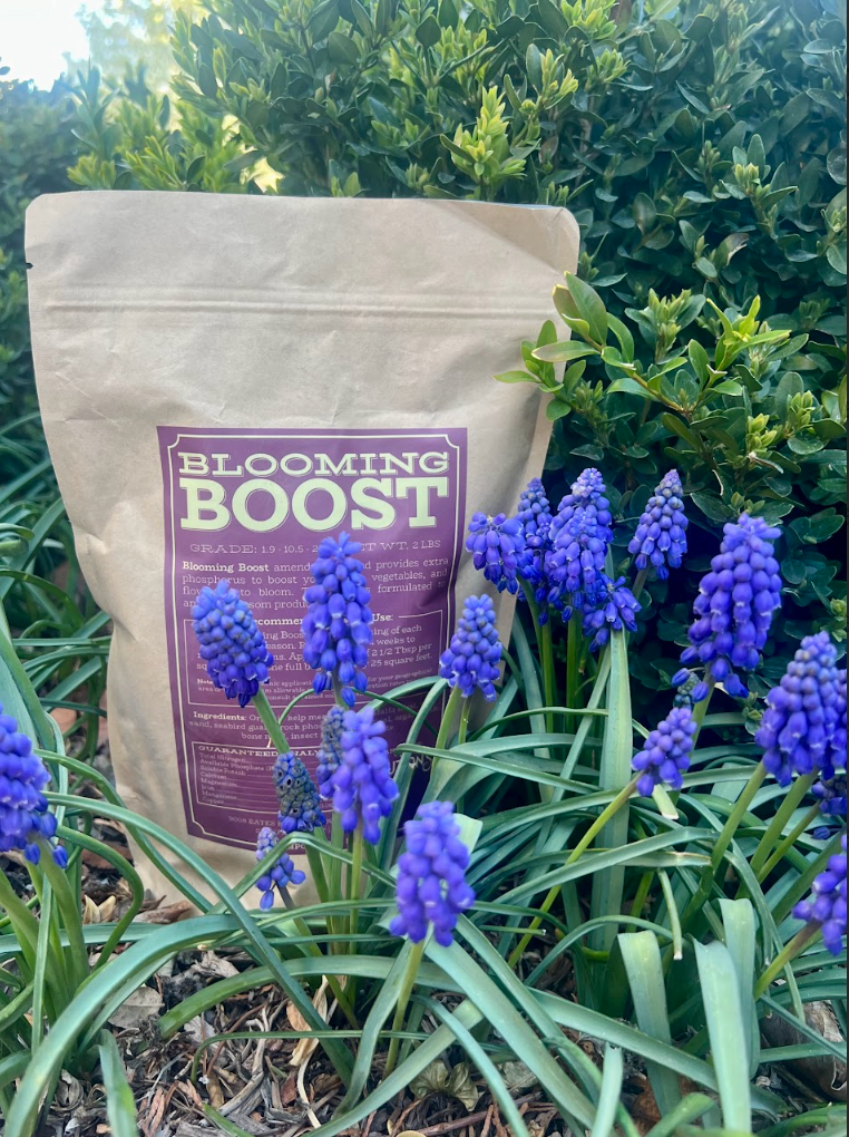 Blooming Boost