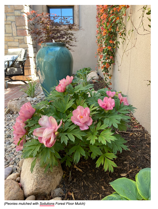 ENRICHED TOPSOIL - DELIVERED