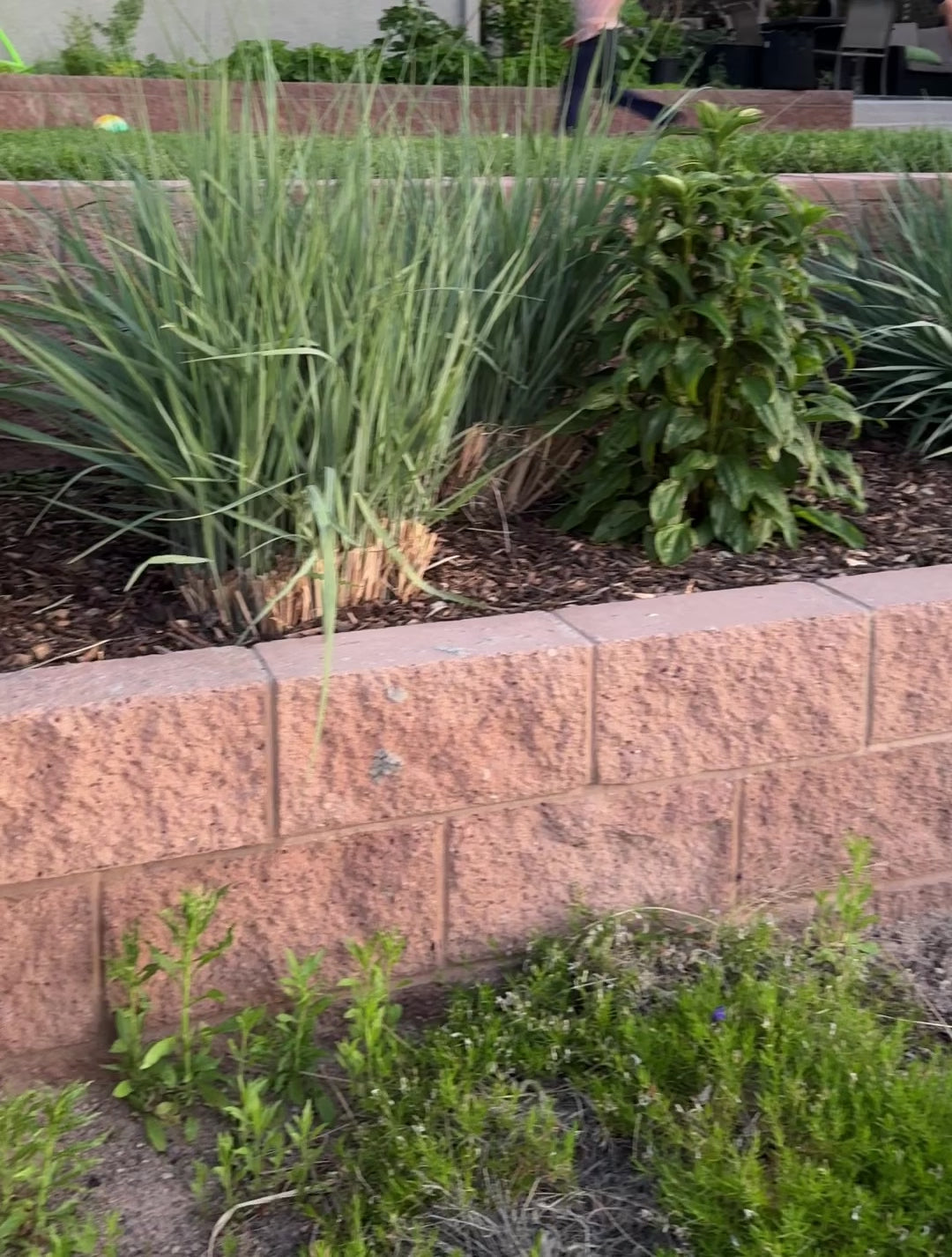 ENRICHED TOPSOIL - DELIVERED