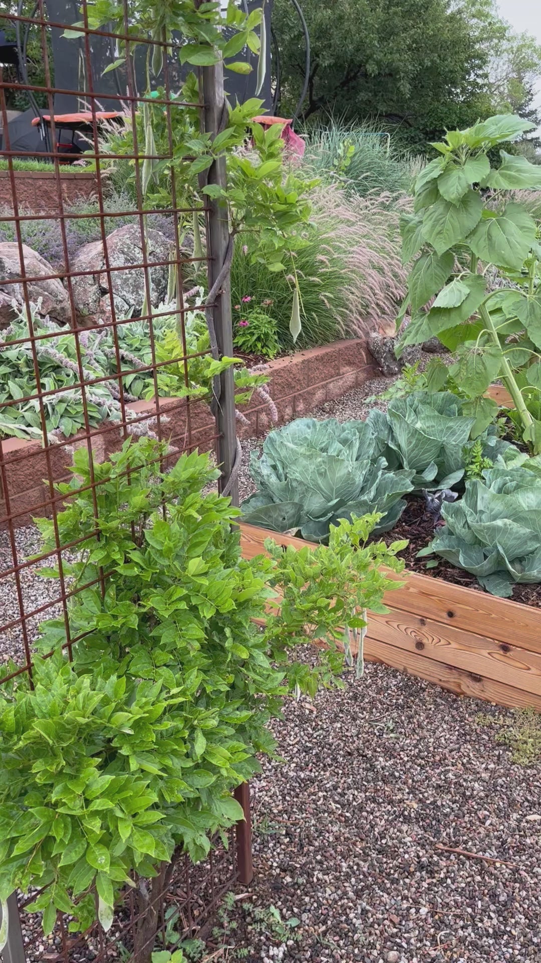PREMIUM GARDEN SOIL - DELIVERED