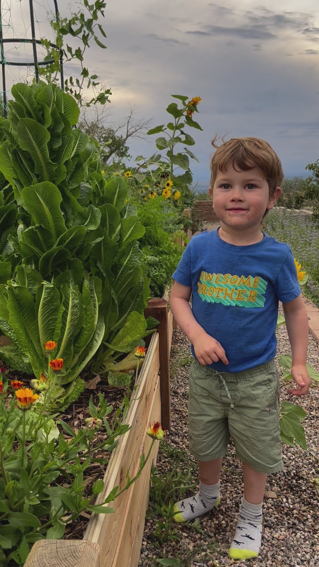 PREMIUM GARDEN SOIL - DELIVERED