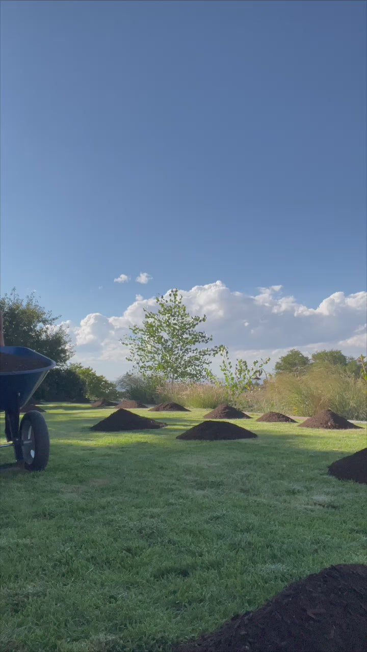 ENRICHED TOPSOIL - DELIVERED