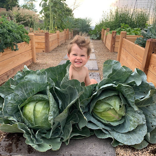 PREMIUM GARDEN SOIL - WORK GLOVE SERVICE