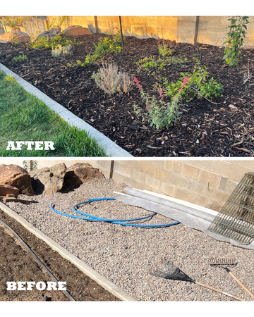 Before of rock and after of Forest Floor mulch in same planting area