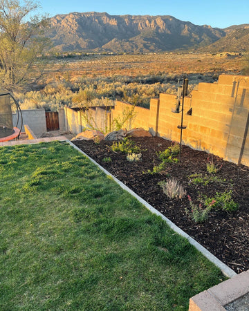 Forest Floor mulch in planting area