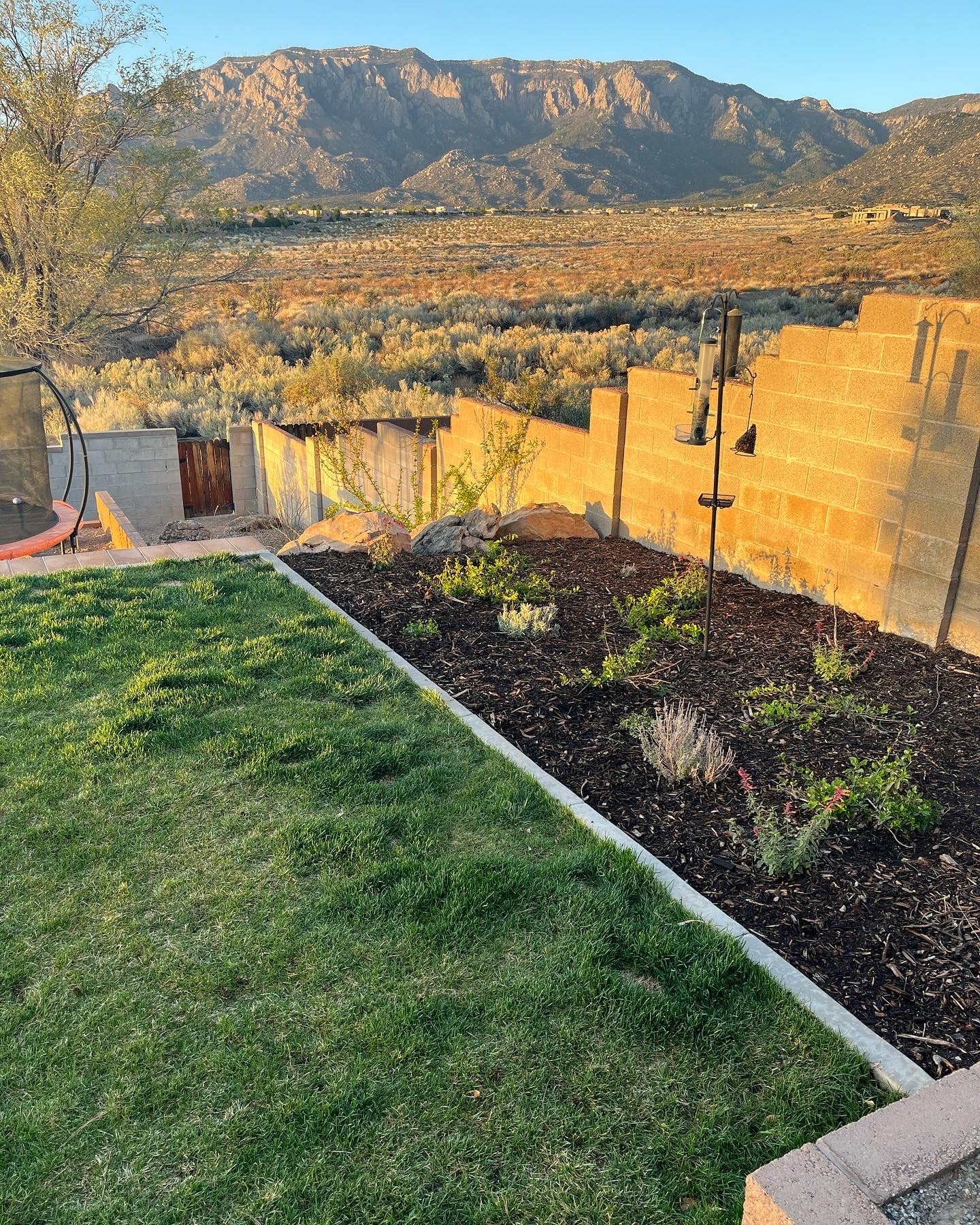 Forest Floor mulch in planting area