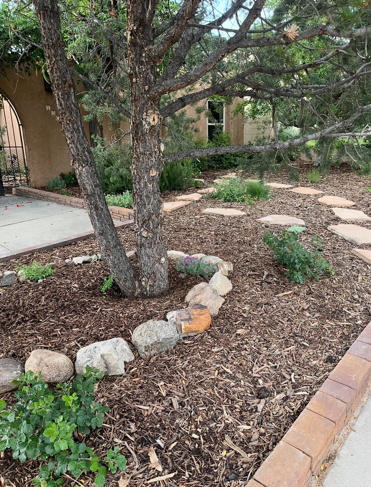 Native Mulch: Built for New Mexico