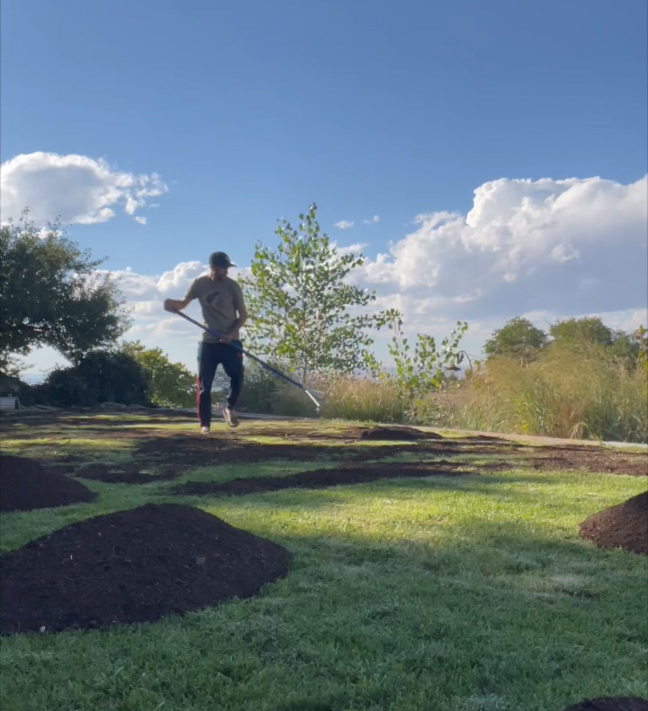 4 Steps to Chemical-Free Lawn Winterization