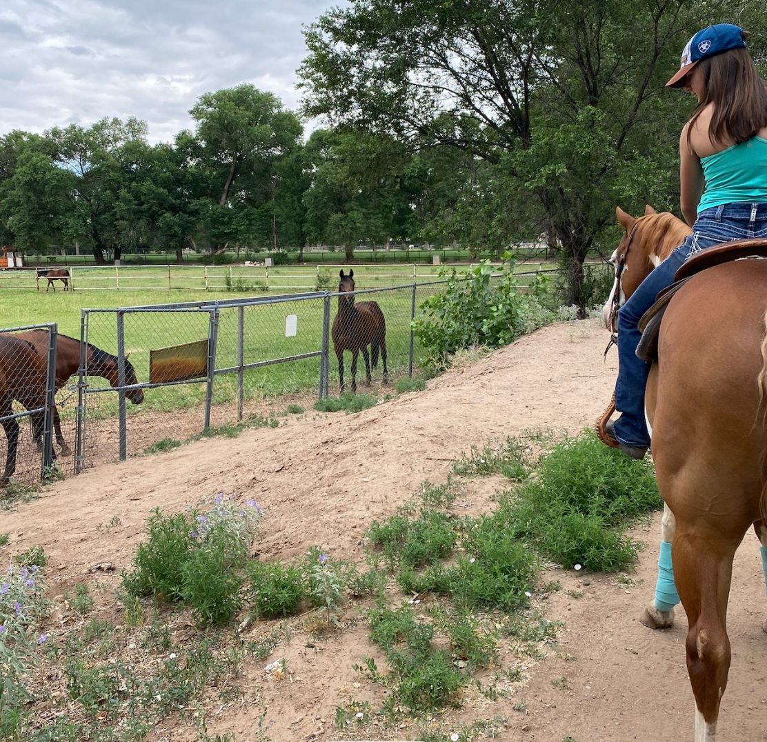 Why Soilutions No Longer Accepts Animal Manure