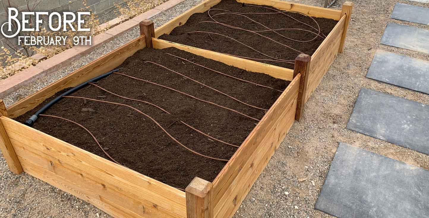 Preparing Your Garden and Lawn for Spring: February To-Dos That Pay Off