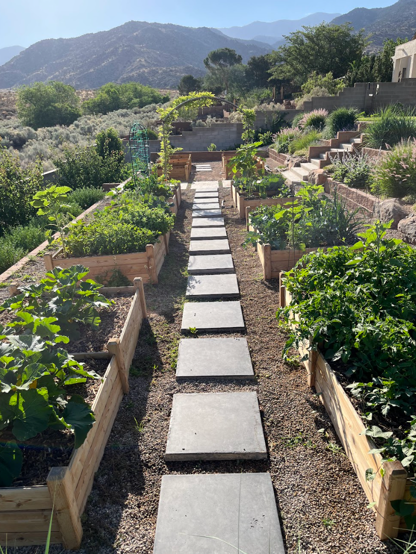 🪴 Raised Bed Gardening in New Mexico: Start Strong This Spring