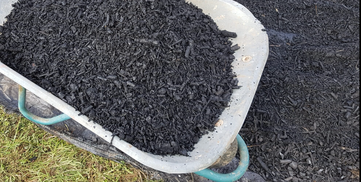 Biochar: Miracle Soil Amendment or Just the Latest Garden Trend?