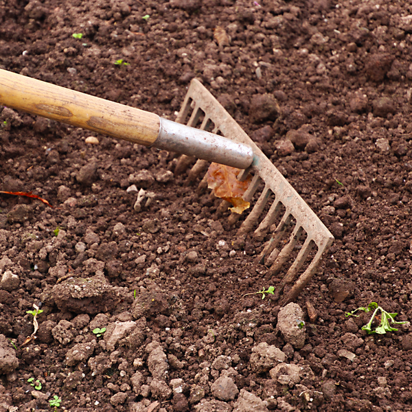 Living Soil Care: The First Steps to a New Garden