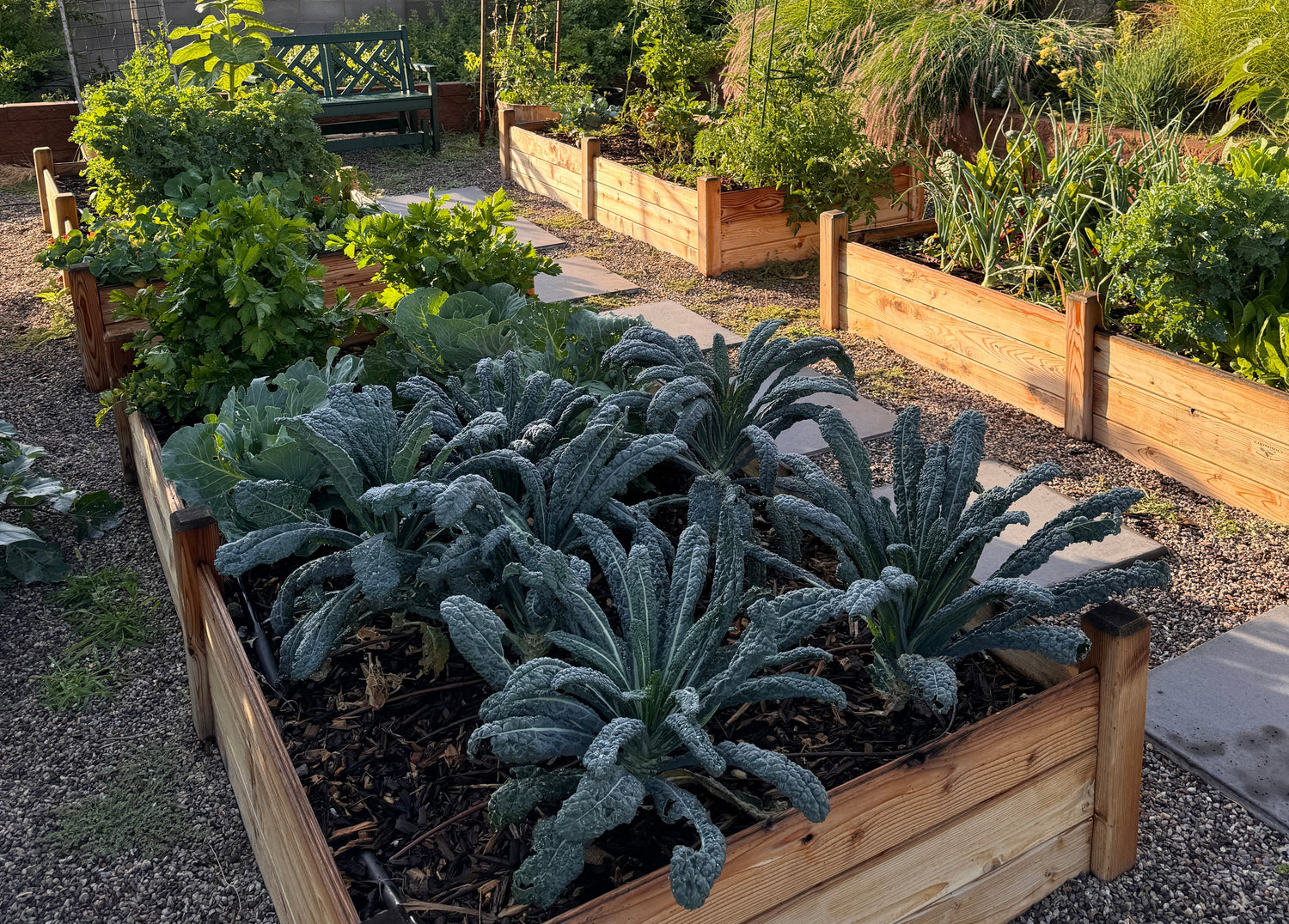 Soil Care Schedule for Your Raised Bed Garden