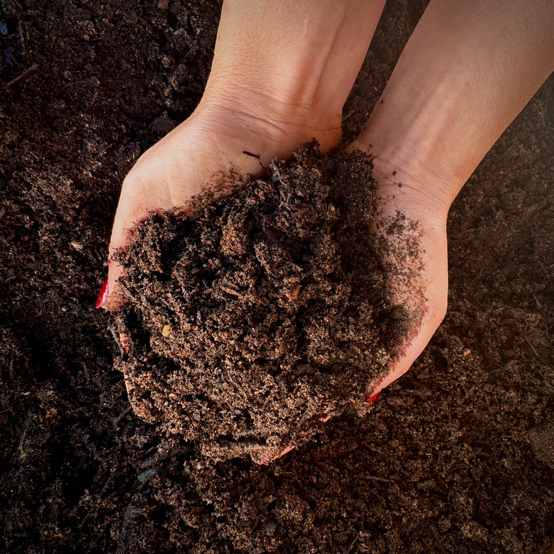 ENRICHED TOPSOIL - PICK-UP