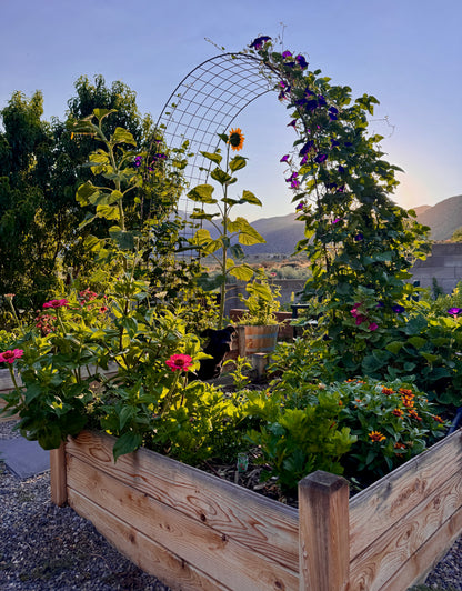 PREMIUM GARDEN SOIL - WORK GLOVE SERVICE