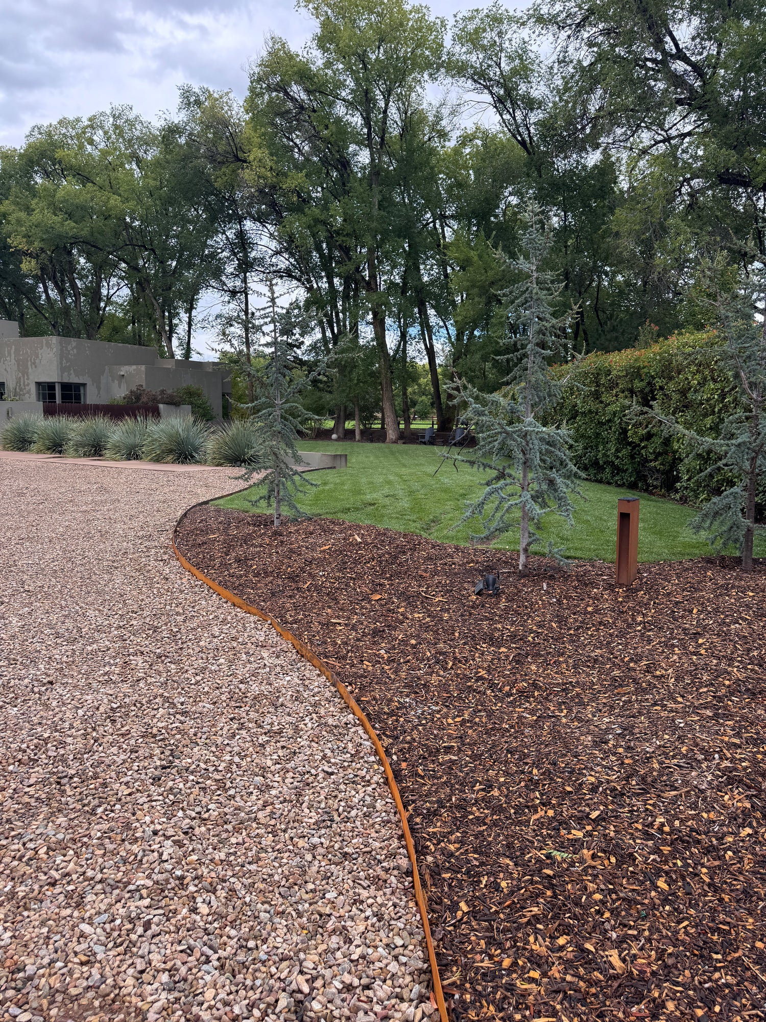 gravel mulch for indoor plants FOREST FLOOR MULCH