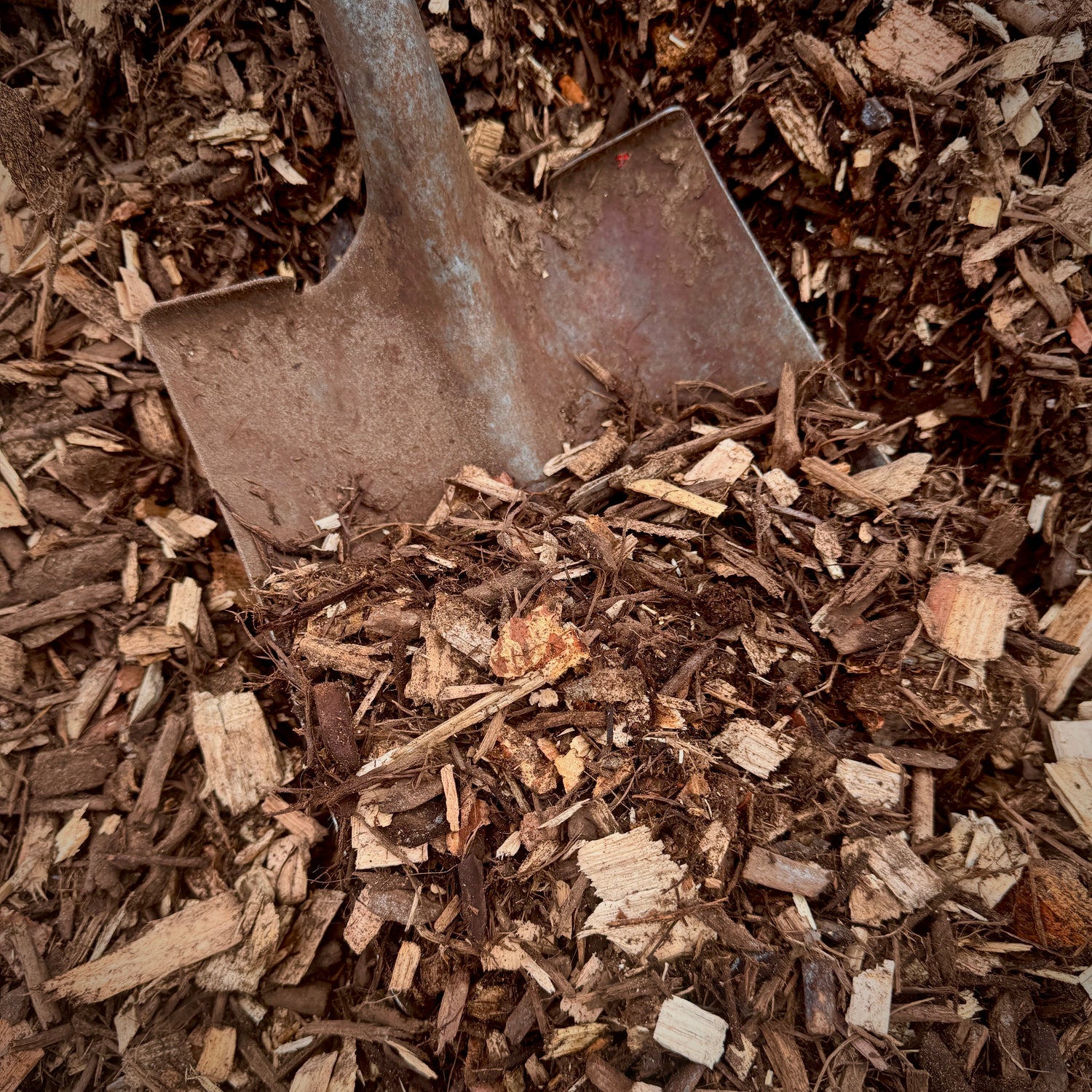 FOREST FLOOR MULCH - DELIVERED