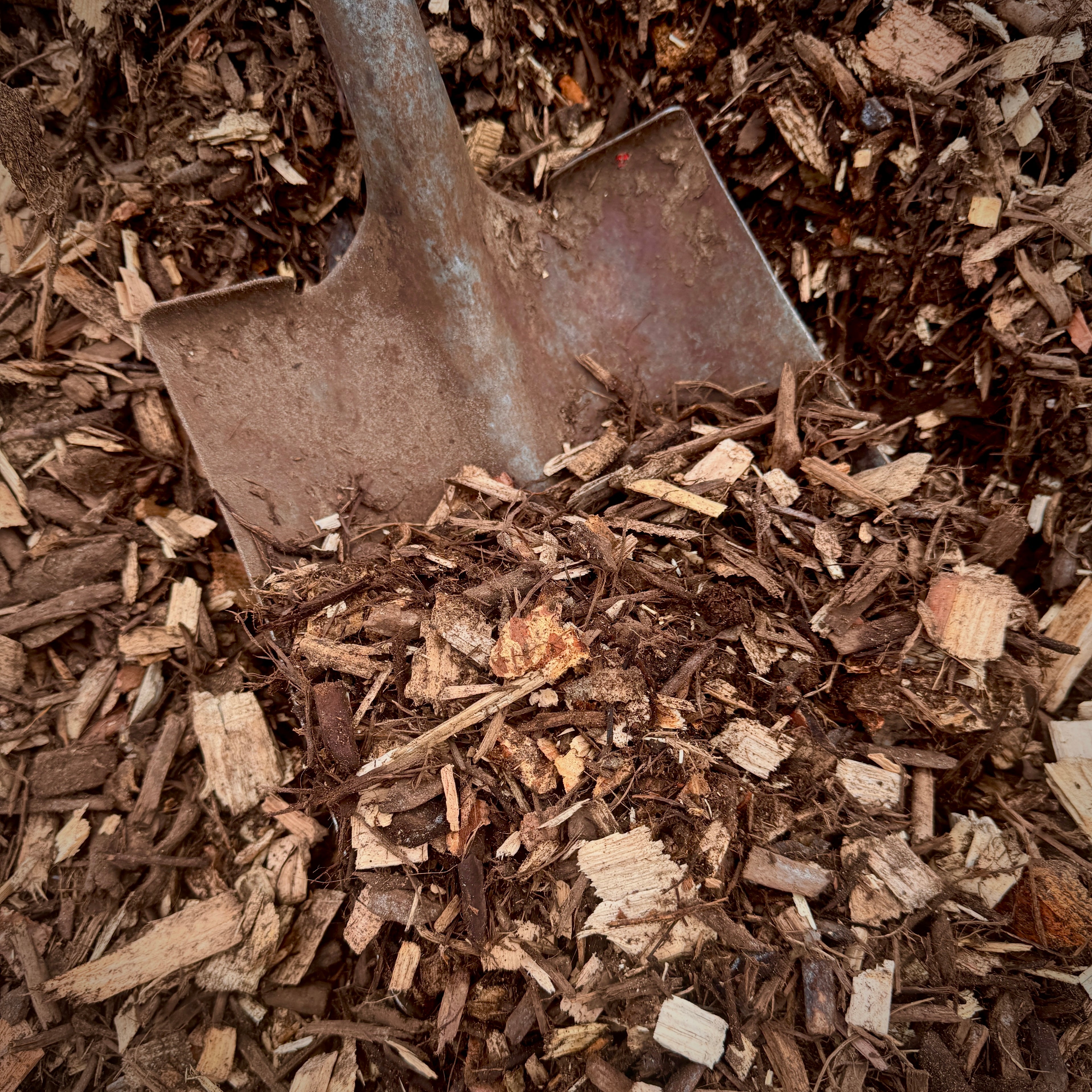 FOREST FLOOR MULCH - DELIVERED