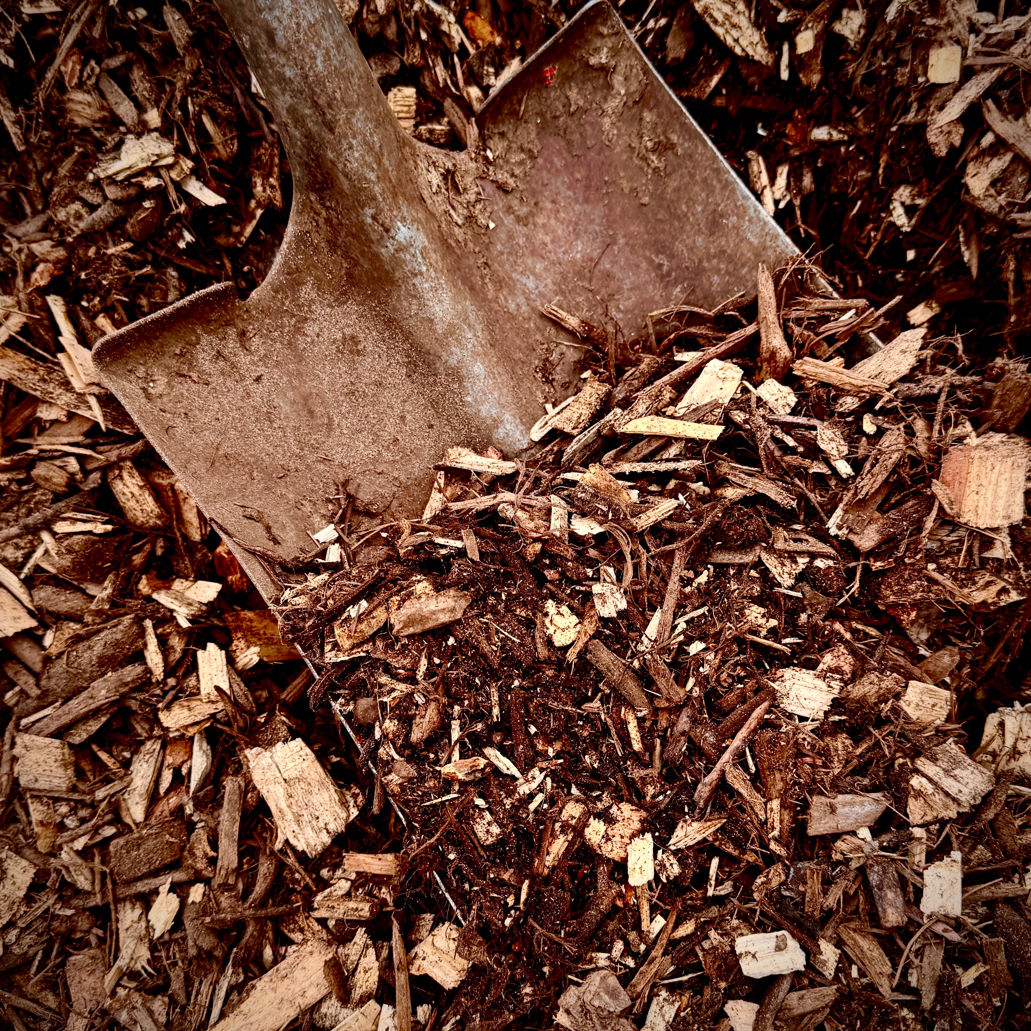 FOREST FLOOR MULCH - DELIVERED