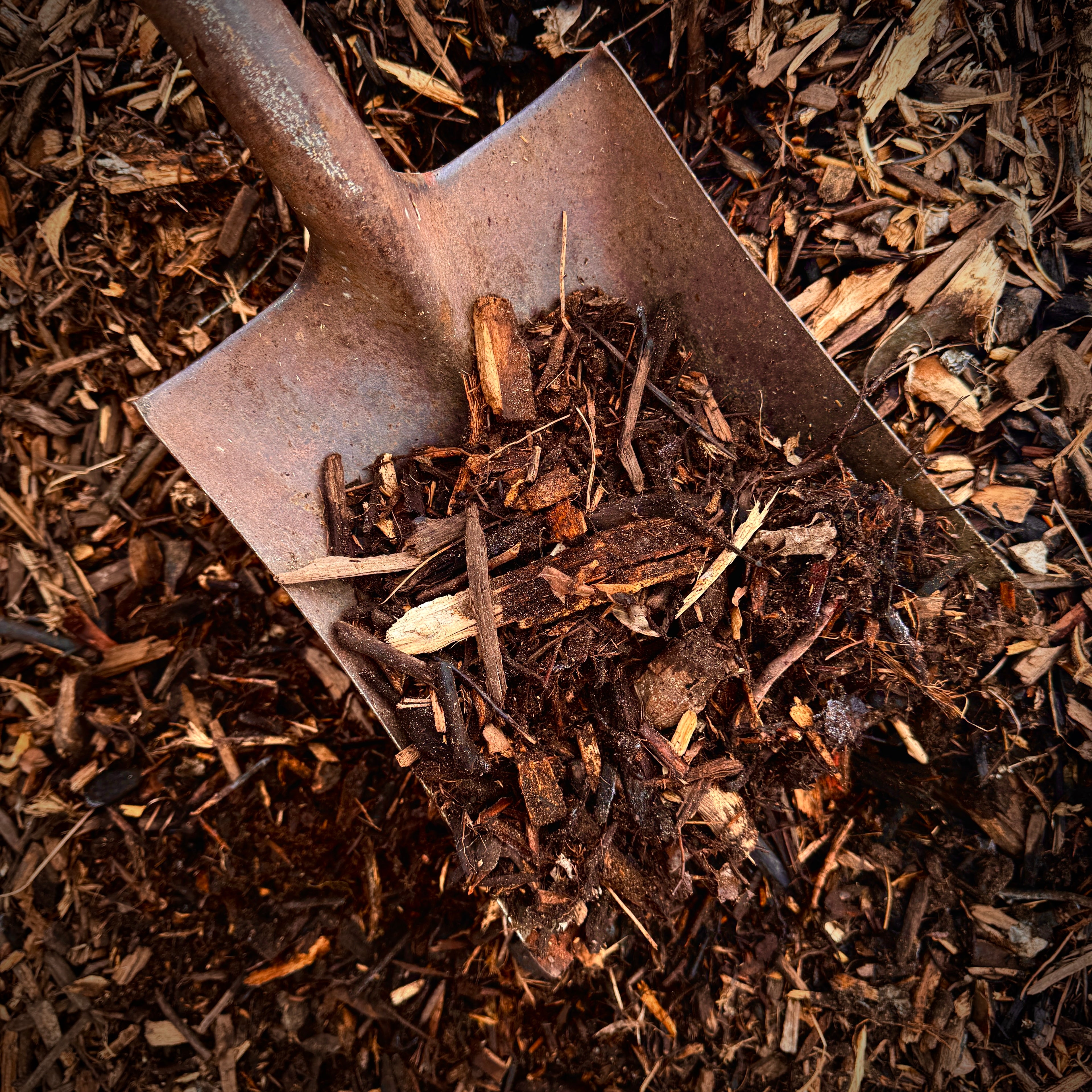 FOREST FLOOR MULCH - DELIVERED