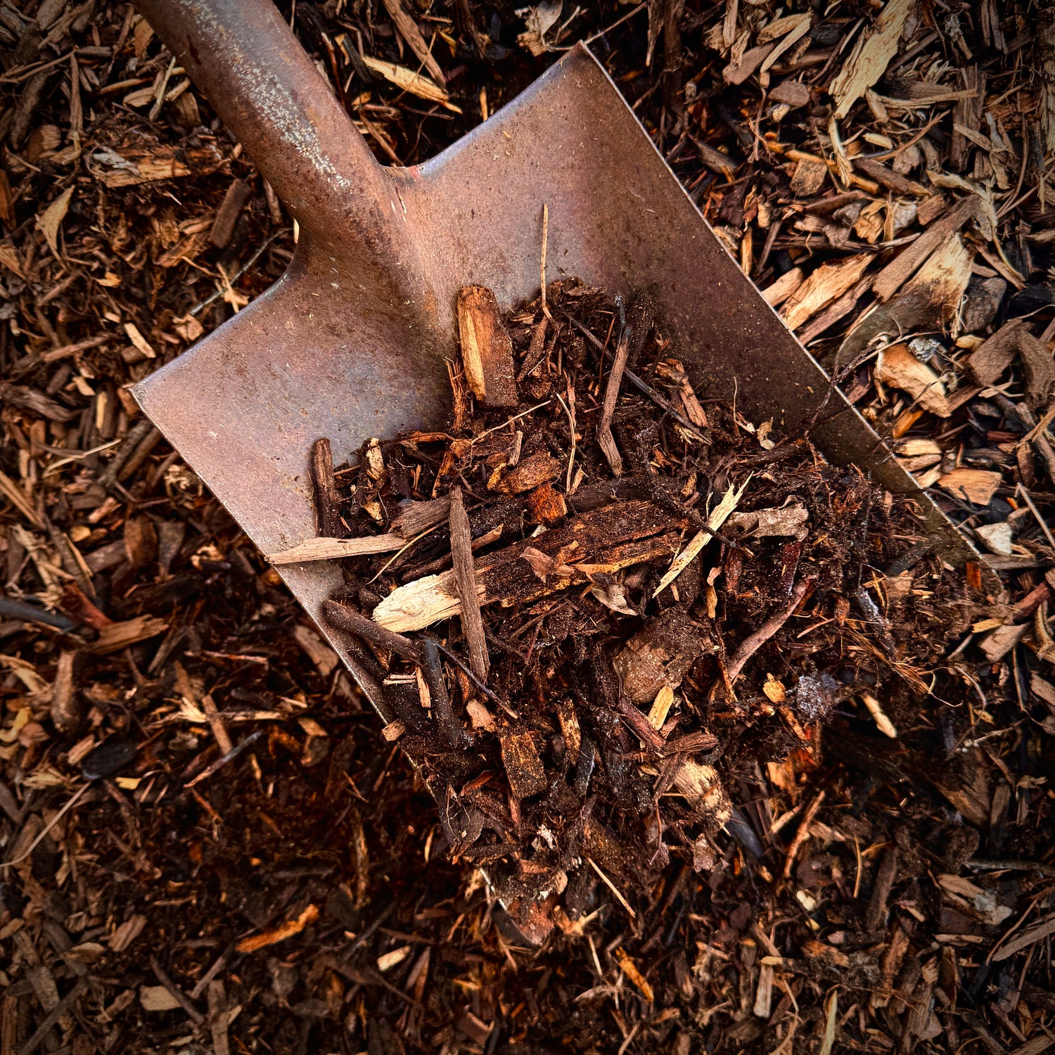 forest floor potting mix FOREST FLOOR MULCH
