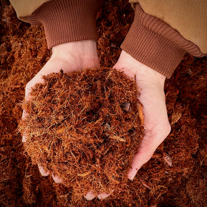 Coco Coir () Coco Coir