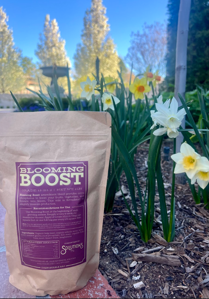blooming plant fertilizer Blooming Boost – Soilutions